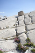 Tioga Road, Yosemite National Park, Sierra Nevada, USA