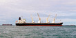 Vessel bulk cargo with crane in the ocean
