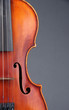 Classical violin on grey background