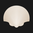 Brown Scallop Shell. Isolated On Black. Vector Illustration