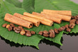 Coffee grains and cinnamon on sackcloth on green leafs close-up