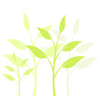 Plants background