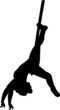 Sagoma donna al trapezio