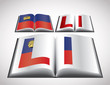 National Flag concept of Liechtenstein