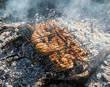 Juicy roasted kebabs