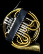 French horn in the case