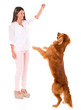 Woman playing with a dog