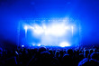 Jubelnde Konzertbesucher auf Rock-Konzert