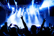 Jubelnde Konzertbesucher auf Rock-Konzert