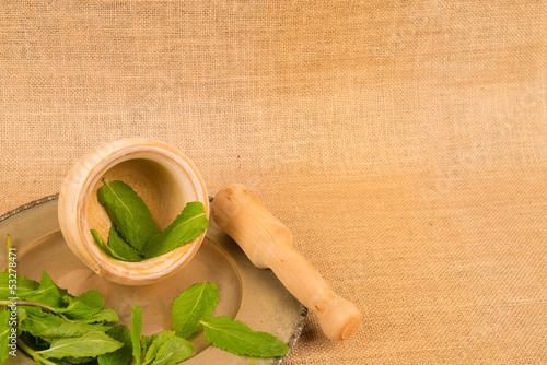 Photo: Spearmint Spearmint