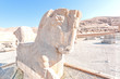 Ancient Persian horse statue in Persepolis, Iran.