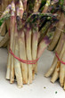 Spargel