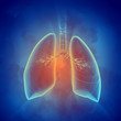 Schematic illustration of human lungs