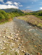 New Zealand landscape