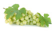 Foto: Fresh ripe grapes Fresh ripe grapes