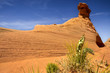 Photo: page, az page, az