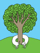 Tree hugging dog