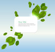 Vector: Vector spring-summer banner Vector spring-summer banner