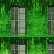 Old windows with grungy walls