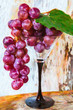 Photo: still life - oil paint still life - oil paint