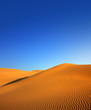 evening desert