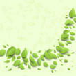 Vector: Background with green leaves Background with green leaves