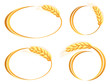 Set of wheat ears icons