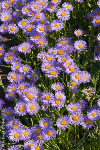 Photo: SONY DSC SONY DSC