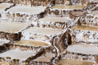 Peru, Salinas de Maras,Inca traditional salt mine (salinas)