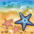 Beach Background
