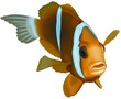 Anemonefish