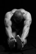 Strong  male  body