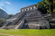 temple de palenque 1