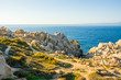 Capo Testa