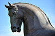 Milano - Ippodromo San Siro - cavallo di Leonardo