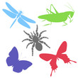 Insects