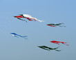Kites