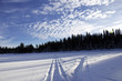 Frozen Beaver Lake snowmobile tracks