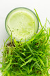 Green Organic Wheat Grass Juice ready to drink