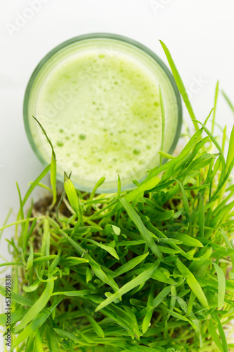Photo: Green Organic Wheat Grass Juice ready to drink Green Organic Wheat Grass Juice ready to drink
