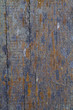 Fungal Growth on Wooden Plank