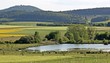 Das Naturschutzgebiet Glockenborn an der Weidelsburg