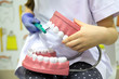 Teeth model