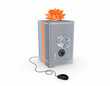 Iron safe and computer mouse.