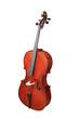 violoncello