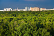 house and urban parks lit by sun