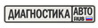 Автомобильный номерной знак с надписью ДИАГНОСТИКА