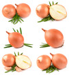 Onions on a white background