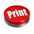 Print button