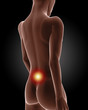 Illustration: Female medical skeleton Female medical skeleton
